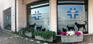 Visita veterinaria a Caldiero